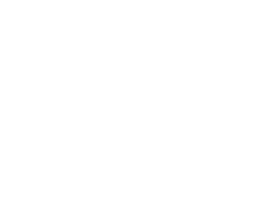 Raccoon Gang Icon